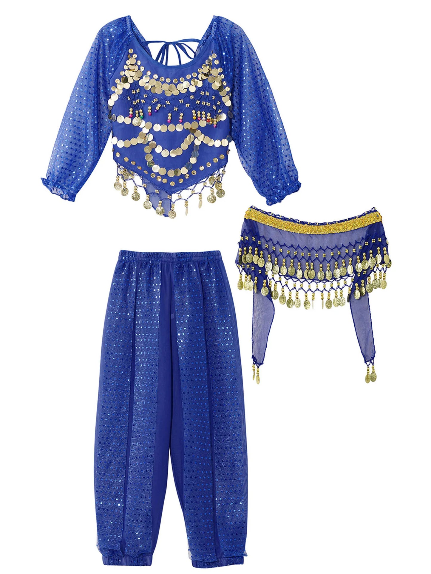 Girls India Belly Dance Arabian Princess Performance Costume Long Sleeve Crop Top with Harem Pants Hip Scarf Bellydance for Kids