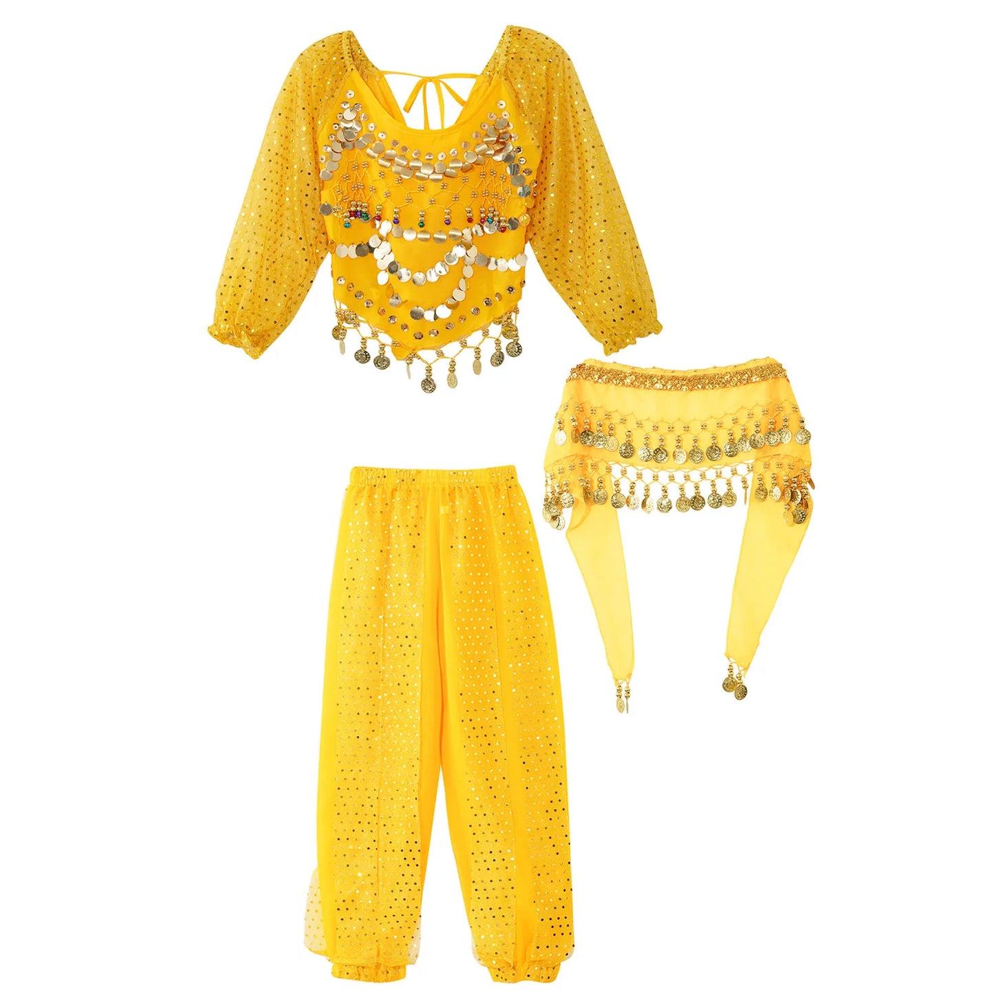 Girls India Belly Dance Arabian Princess Performance Costume Long Sleeve Crop Top with Harem Pants Hip Scarf Bellydance for Kids