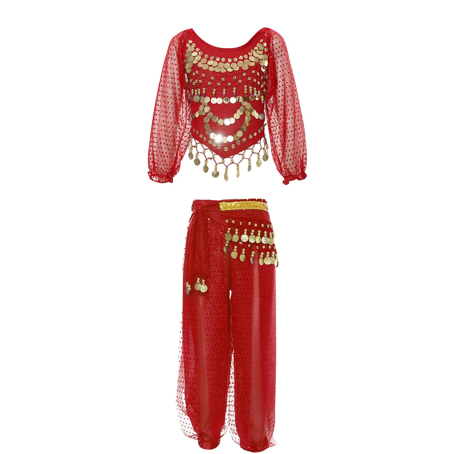 Girls India Belly Dance Arabian Princess Performance Costume Long Sleeve Crop Top with Harem Pants Hip Scarf Bellydance for Kids