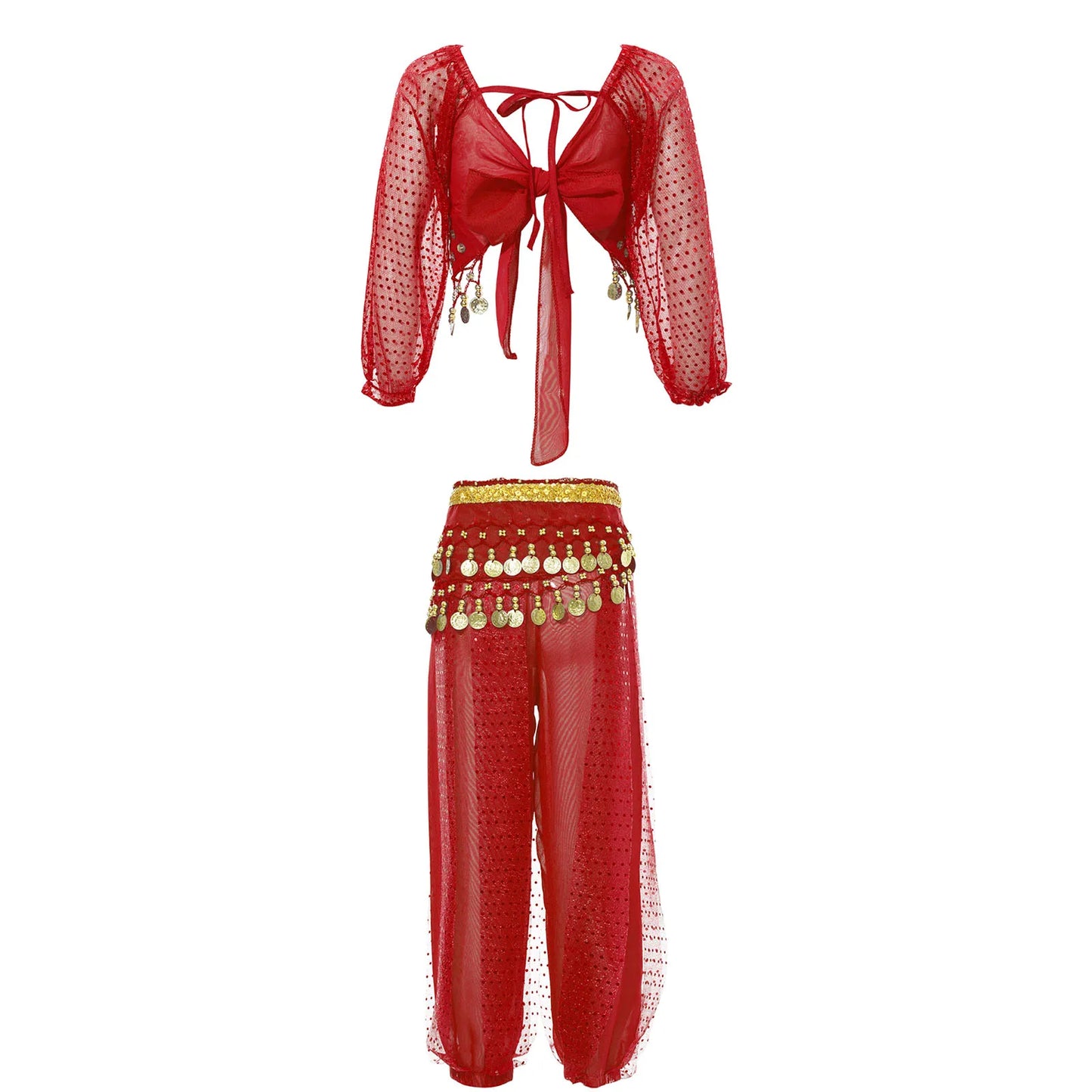 Girls India Belly Dance Arabian Princess Performance Costume Long Sleeve Crop Top with Harem Pants Hip Scarf Bellydance for Kids