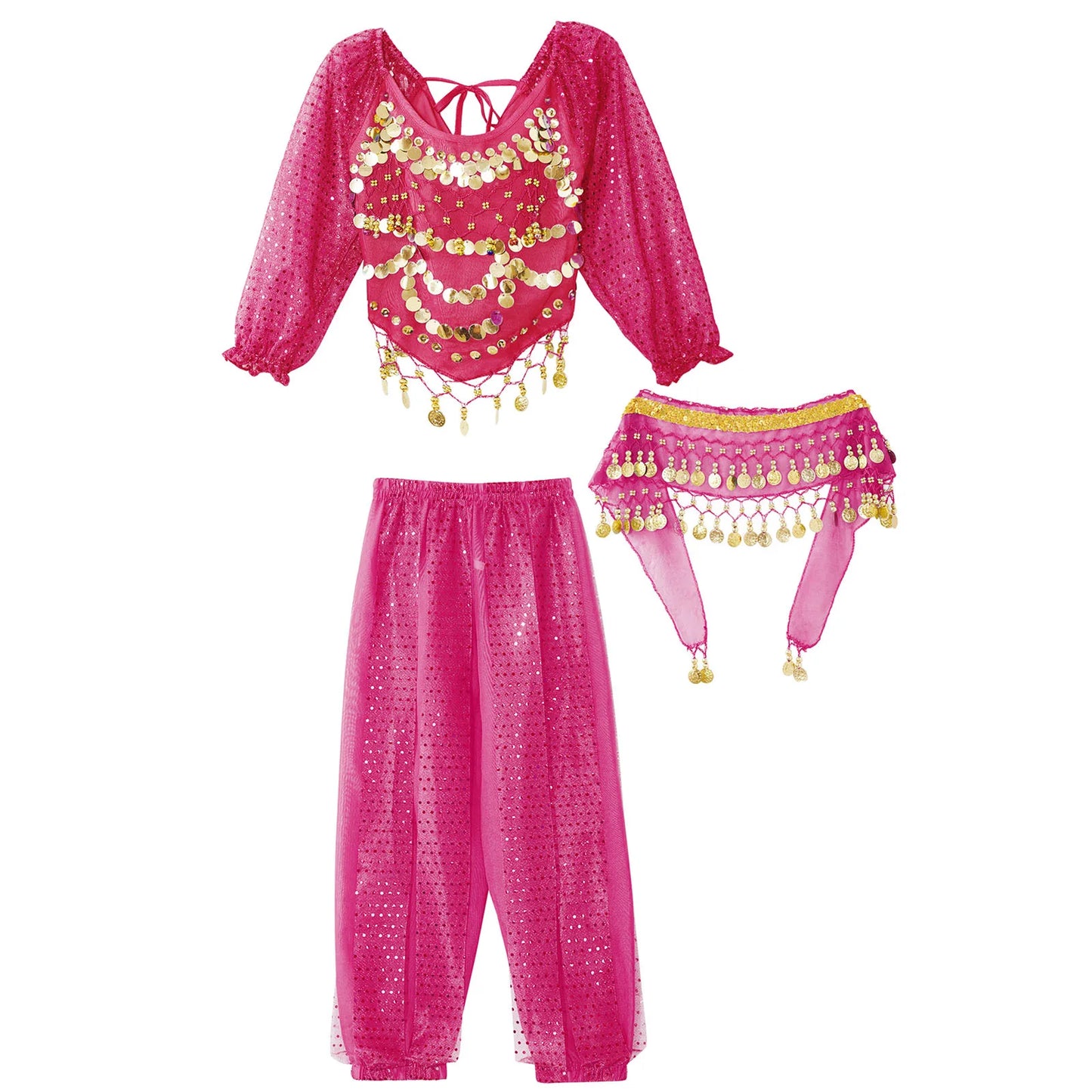 Girls India Belly Dance Arabian Princess Performance Costume Long Sleeve Crop Top with Harem Pants Hip Scarf Bellydance for Kids