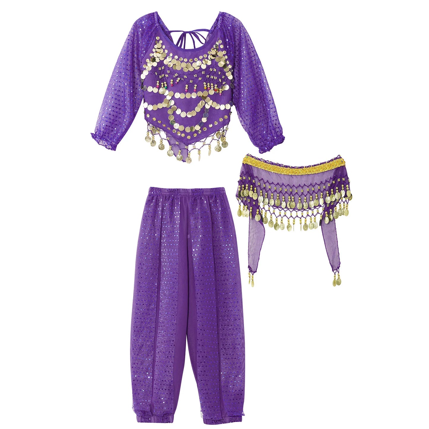 Girls India Belly Dance Arabian Princess Performance Costume Long Sleeve Crop Top with Harem Pants Hip Scarf Bellydance for Kids