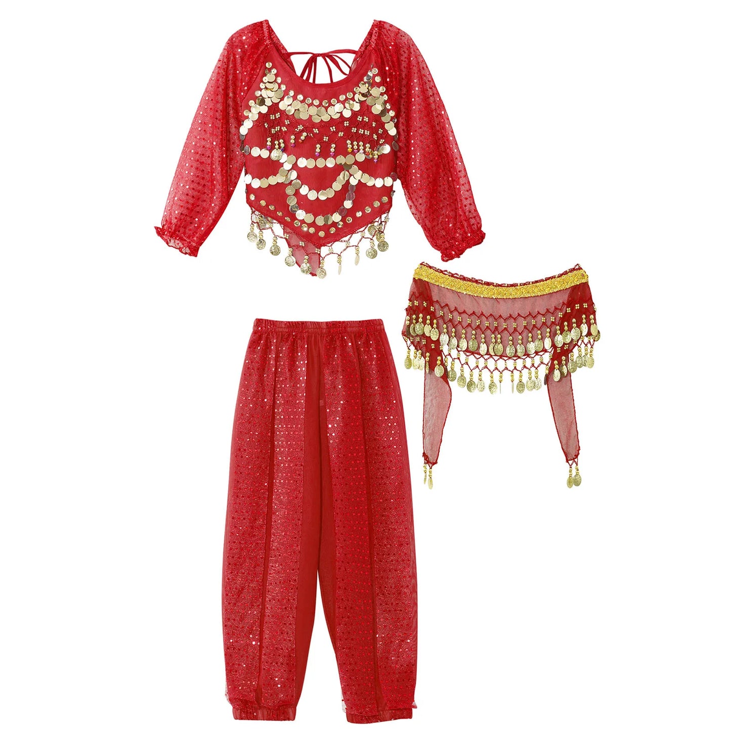 Girls India Belly Dance Arabian Princess Performance Costume Long Sleeve Crop Top with Harem Pants Hip Scarf Bellydance for Kids