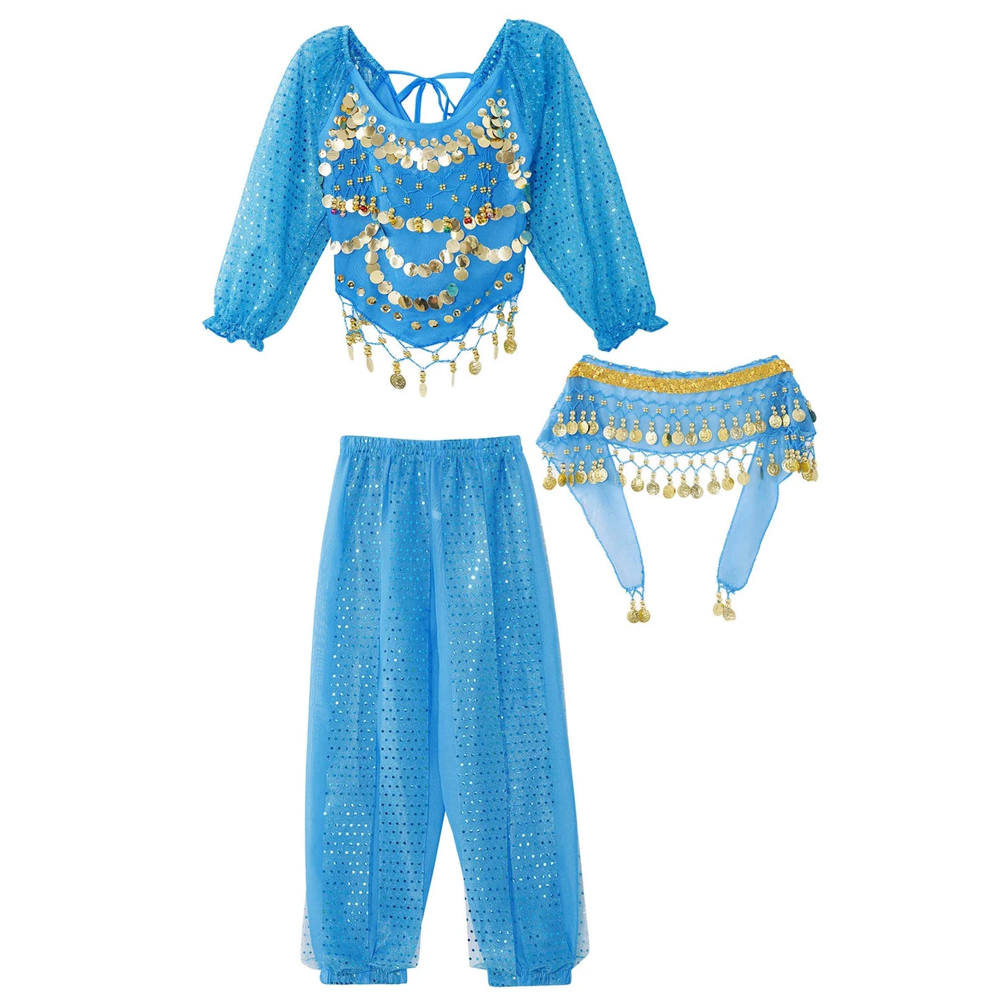 Girls India Belly Dance Arabian Princess Performance Costume Long Sleeve Crop Top with Harem Pants Hip Scarf Bellydance for Kids